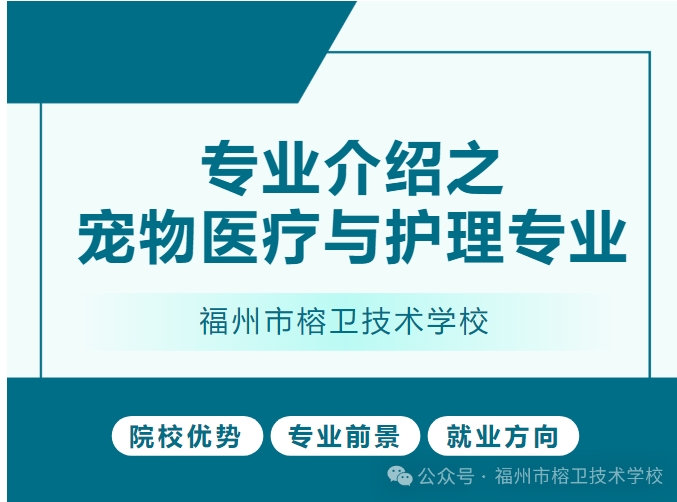 屏幕截图_15-6-2026_15628_mp.weixin.qq.com.jpeg