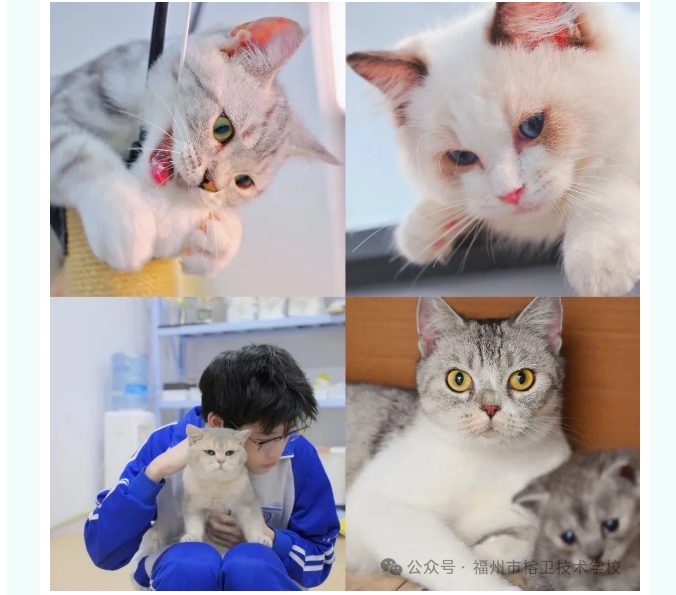 屏幕截图_15-6-2026_152547_mp.weixin.qq.com.jpeg