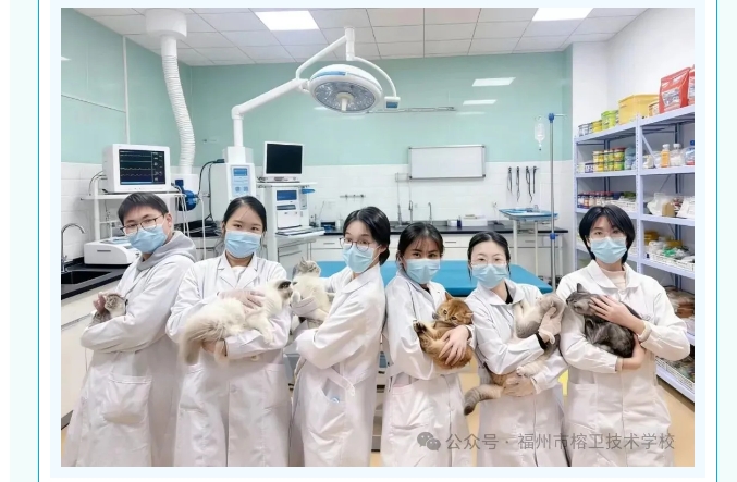屏幕截图_15-6-2026_152630_mp.weixin.qq.com.jpeg